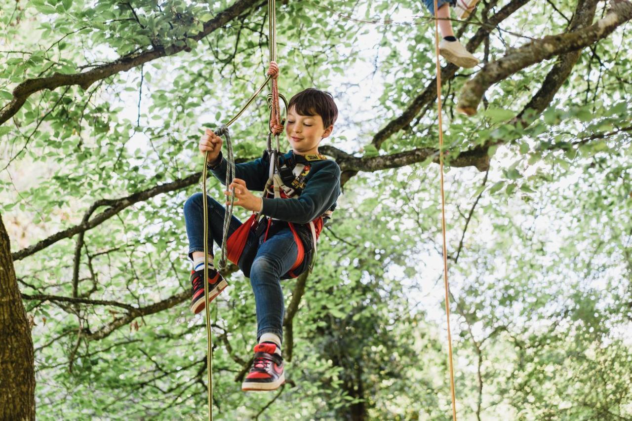 Cocoon Village - Glamping - Domaine Des Grottes De Han ロシュフォール エクステリア 写真