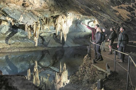Cocoon Village - Glamping - Domaine Des Grottes De Han ロシュフォール エクステリア 写真